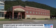 Students back in class after bats found in school