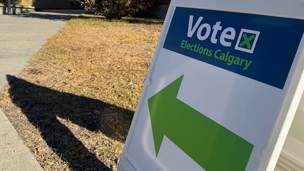 Calgary's Ward 12 councillor race to get vote recount