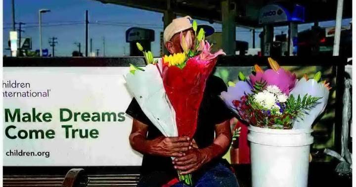 States' laws on immigration show divide in US