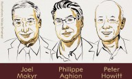 How innovation fuels growth: The 2025 Economics Nobel explained