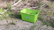 Man In North Carolina Observes Activity Inside A Box And Makes An Unexpected Find