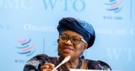 WTO says AI-related buying binge and a spike in US imports spur unexpected rise in goods trade