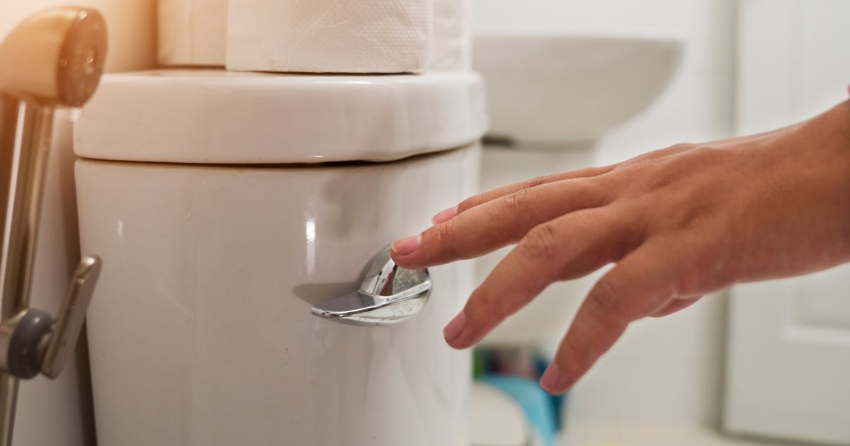 Breaking 'little known' toilet law at home could trigger unlimited fine