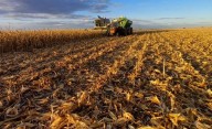 Merma de U$S 390 millones en La Pampa
