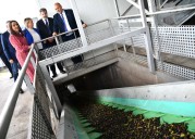 Castilla-La Mancha demanda una PAC que incorpore las necesidades del sector del olivar