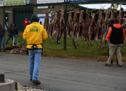 Michigan budget leaves door open for raising hunting, fishing license fees
