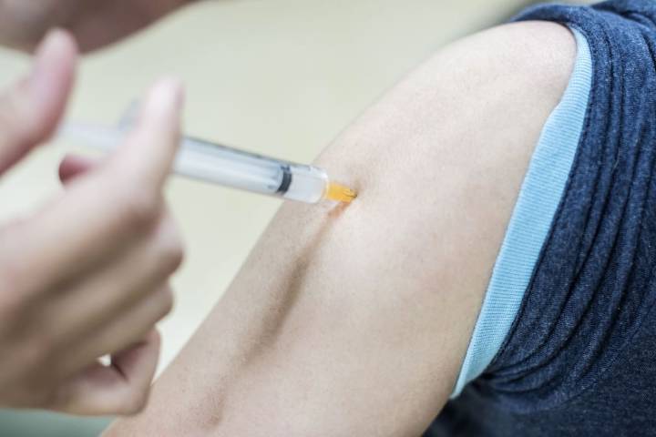 Lo decidió el Gobierno. Alerta por la suba de casos de fiebre amarilla en la región: en la Argentina la vacuna ya no es gratuita