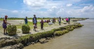 In Bangladesh, Google AI helps deliver cash before floods