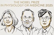 Científicos reciben el Nobel de Medicina por su descubrimientos en la tolerancia inmune periférica