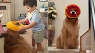 New Jersey Parents Watch Their Toddler And Dog Play A Strange Game That Turns Out To Be Something Beautiful