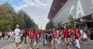 Sheep, soldiers, and grains: Studying the physics of crowds