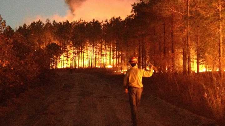 Worsening drought conditions spark Alabama wildfire risks