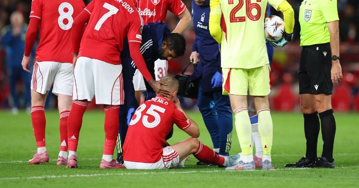 Wood, Zinchenko, Bakwa - Nottingham Forest injury state of play ahead of Bournemouth test
