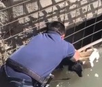 Policías rescataron a un perro que había caído a una alcantarilla en Chos Malal