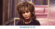 ¡Qué feíta!: la estatua en homenaje a Tina Turner que desató la polémica