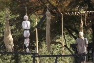 Neighbors Slam 'Disturbing' Asylum-Themed Halloween Display Featuring Hanging Man: 'Very Offensive'