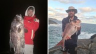 Hayden Wright remembered for ‘heart of gold’ after death in Albany motorbike crash