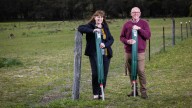 City of Wanneroo explore virtual fencing as potential fix to reduce wildlife collisions on dangerous roads