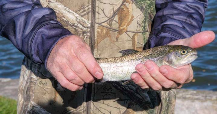 Warm water delays trout stocking plans in Eastern Iowa