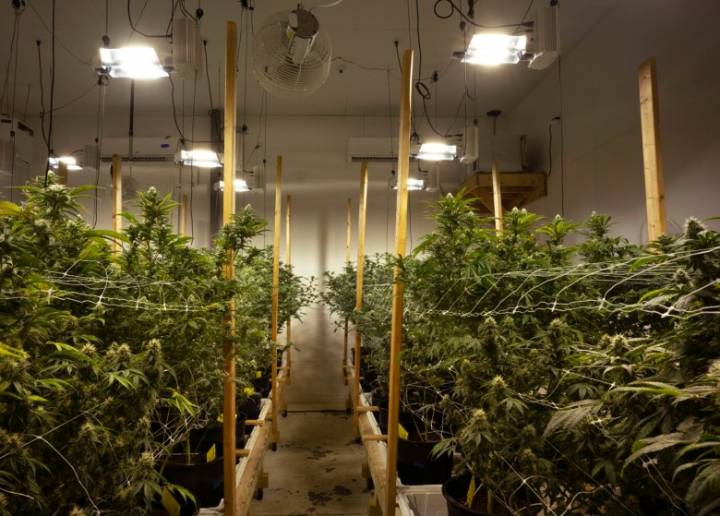Maine cannabis sales lag as recreational market turns 5