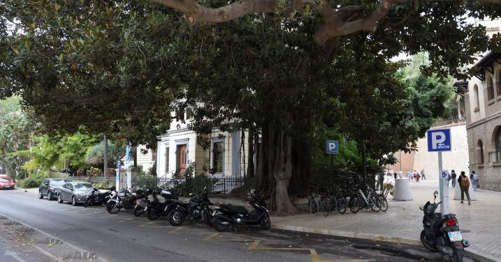 Pacma sobre el fin de los coches de caballo en Málaga: "La ciudad da un paso histórico hacia la modernidad"