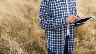 La reacción del agro a la volatilidad cambiaria: “Los productores no declaran en los medios, hablan con sus ventas”