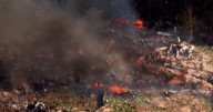 Deadly explosion at military explosives facility in Tennessee