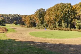 Does Living Near a Golf Course Impact Parkinson's Risk?