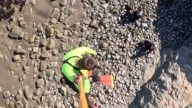 Capsized boat sends child, 4 adults into rough ocean waters off California coast