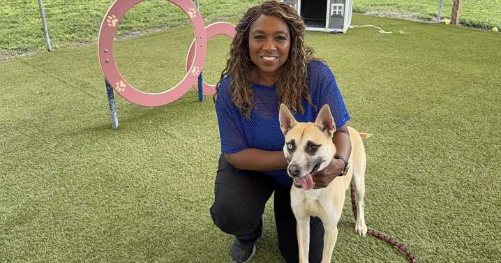 No tricks, just treats! Adopt a new furry friend this Halloween season
