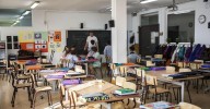 Casi la mitad de los profesores de ESO del Estado creen que la formación inicial no es la adecuada