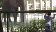 Profepa levanta clausura temporal a Zoológico La Pastora