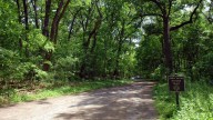 Things to do in New York City this weekend