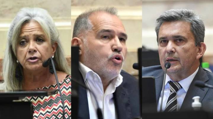 Rechazo a los vetos de Milei: cómo votaron los senadores chaqueños en el nuevo revés para el Gobierno