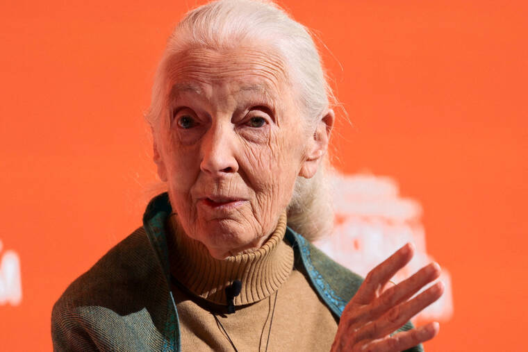 Wildlife advocate, primate expert Jane Goodall dies at 91