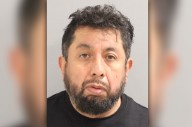 Queens man admits to sex trafficking women on Long Island