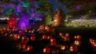 'Pumpkins Aglow' exhibit returns to Franklin Park Conservatory