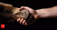 Can animals be left-handed or right-handed; the answer might shock you