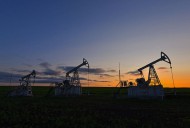 Oil rebounds 1% after sharp losses on US