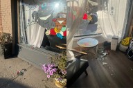 ‘My cats are safe,’ Regina cat café owner says after window smashed
