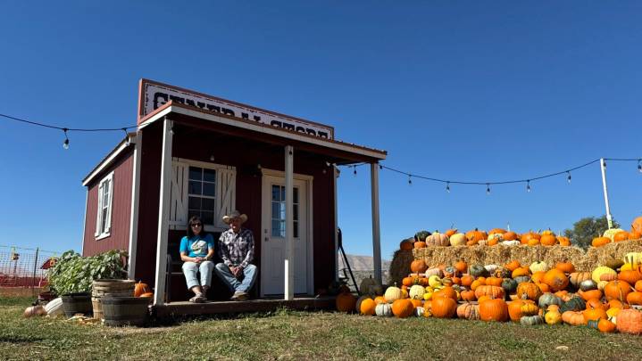 Utah County farm finds sustainability through corn maze attraction