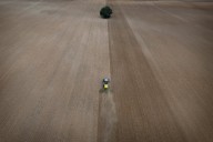 La dieta saludable para el planeta que evitaría 15 millones de muertes prematuras al año