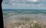 Muertos por lluvias en México suben a 44; continúan rescates