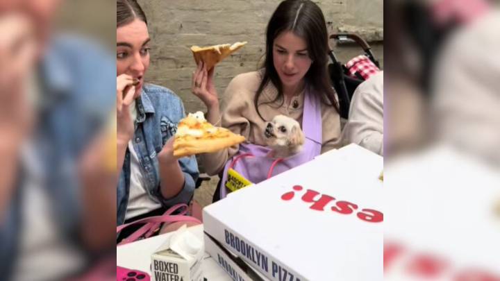 Woman In New York Discovers A Hidden Favorite Treat Of Her Foster Pup