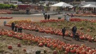 Halloween in Seattle: Event guide for all ages