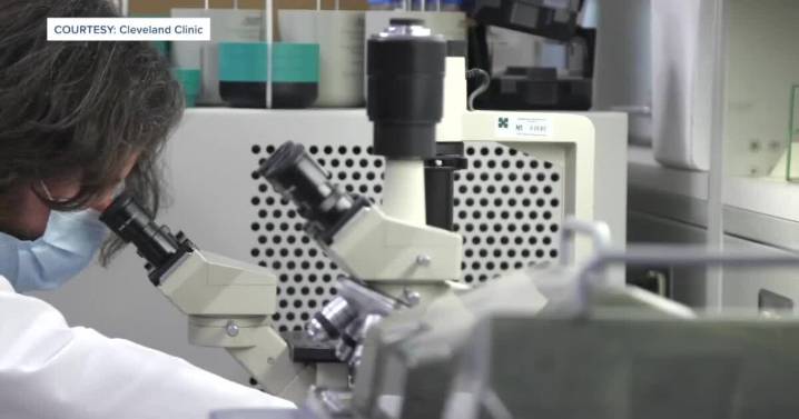 Promising breast cancer vaccine could be available by 2030, researchers say