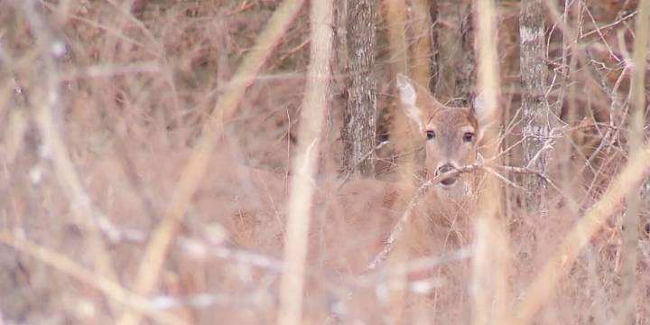 It’s time to ‘share the harvest’ in Missouri