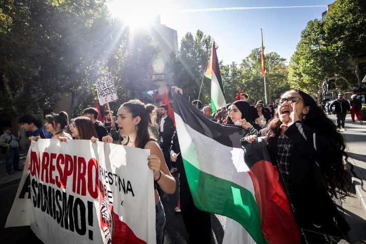 Cientos de personas se manifiestan por Palestina