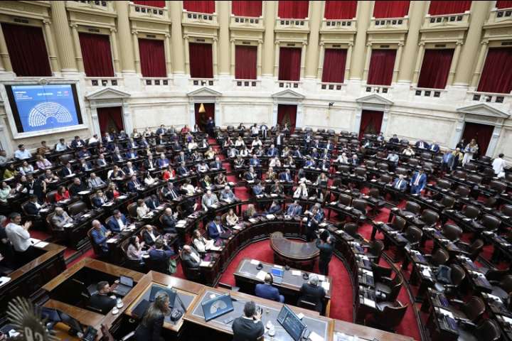 Diputados declaró la nulidad del decreto que suspendía la Ley de Emergencia en Discapacidad