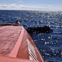 Rescatan una neumática con 62 migrantes en Gran Canaria, entre ellos dos menores